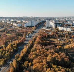 Drone Shot of Trees Near White Buildings