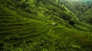 View of Terraces Carved Into the Mountains