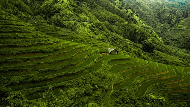 View of Terraces Carved Into the Mountains