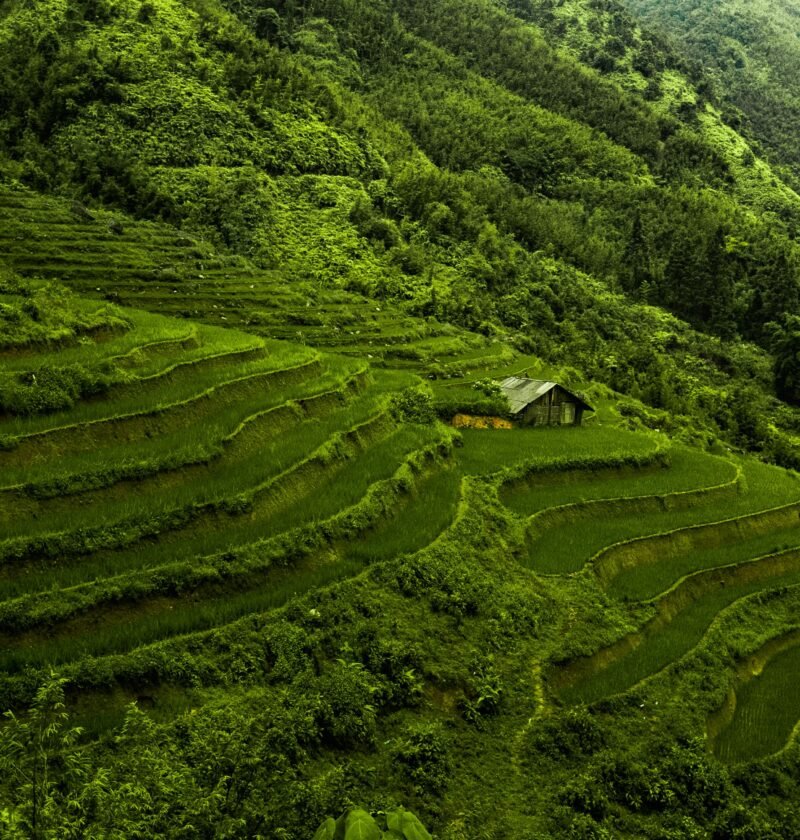 View of Terraces Carved Into the Mountains