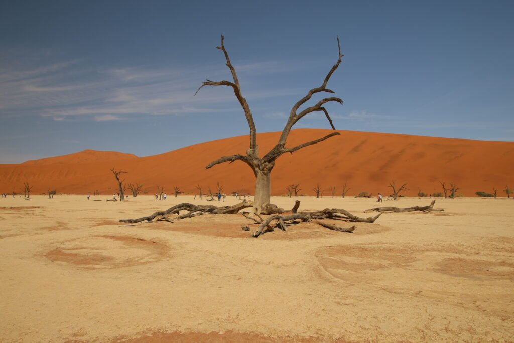 Sossusvlei Dune 45, big daddy