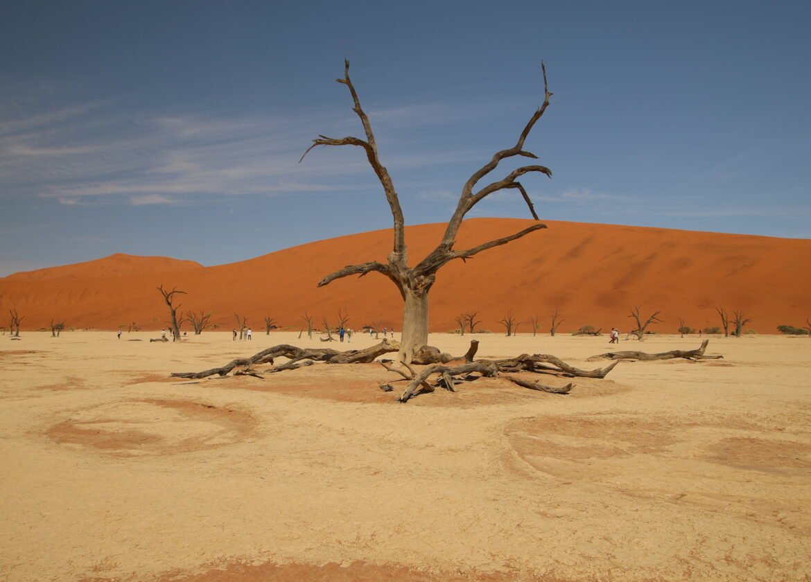 Sossusvlei Dune 45, big daddy