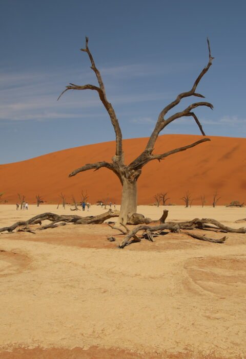 Sossusvlei Dune 45, big daddy