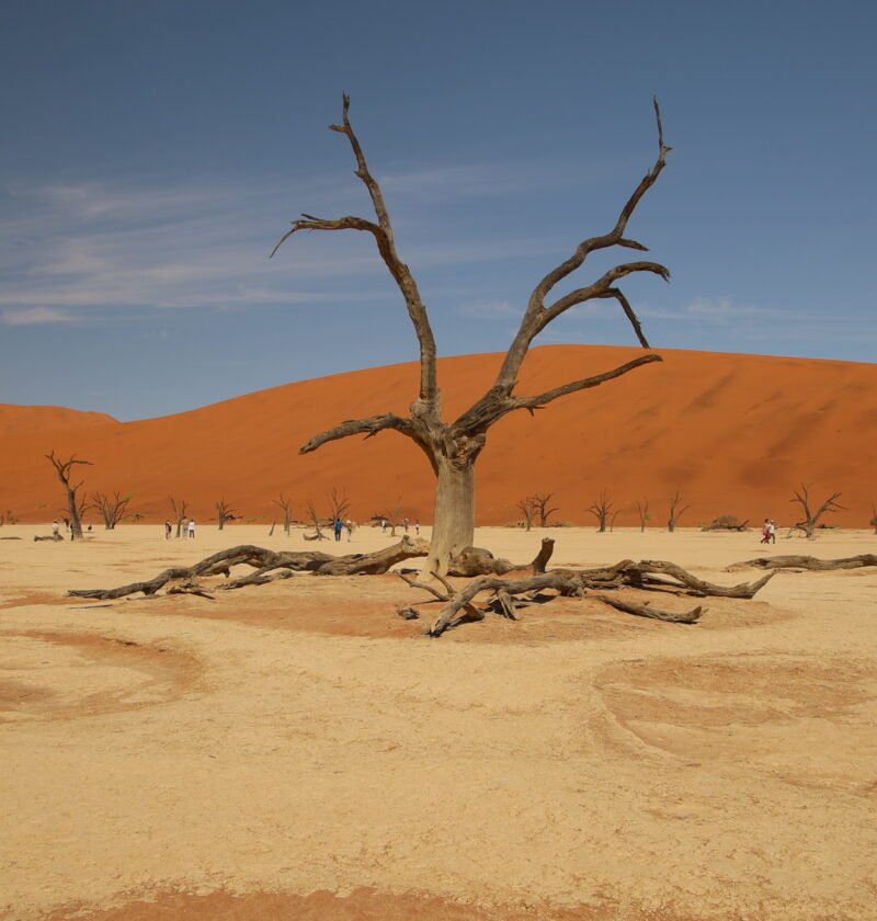 Sossusvlei Dune 45, big daddy