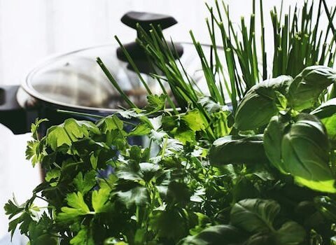 Close-Up Photo of Herbs Near Pot