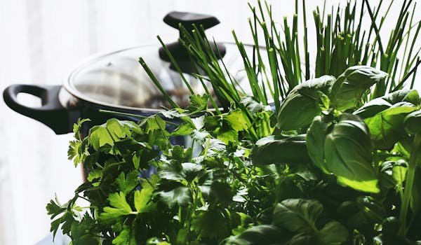 Close-Up Photo of Herbs Near Pot