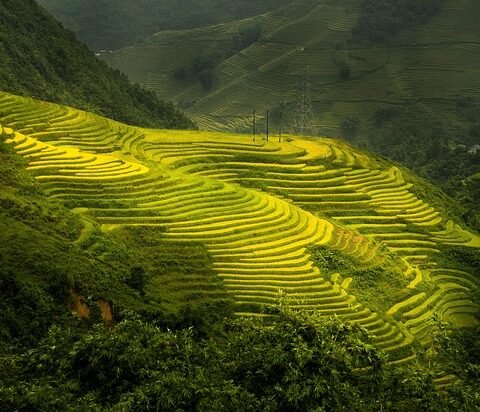 nature, terraces, outdoors