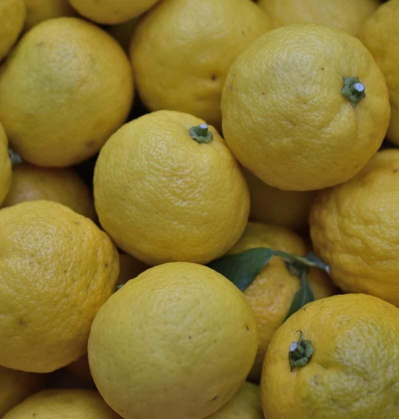 citrus, yellow, fruit, healthy, food, juicy, fresh, vitamin, nature, natural, japan, japanese, yuzu, flavor, yuzu, yuzu, yuzu, yuzu, yuzu