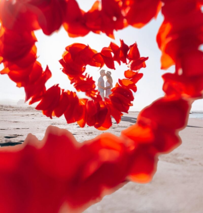 A Couple Embraces at the Beach, Framed by Vibrant Red Petals Forming A Heart Shape.