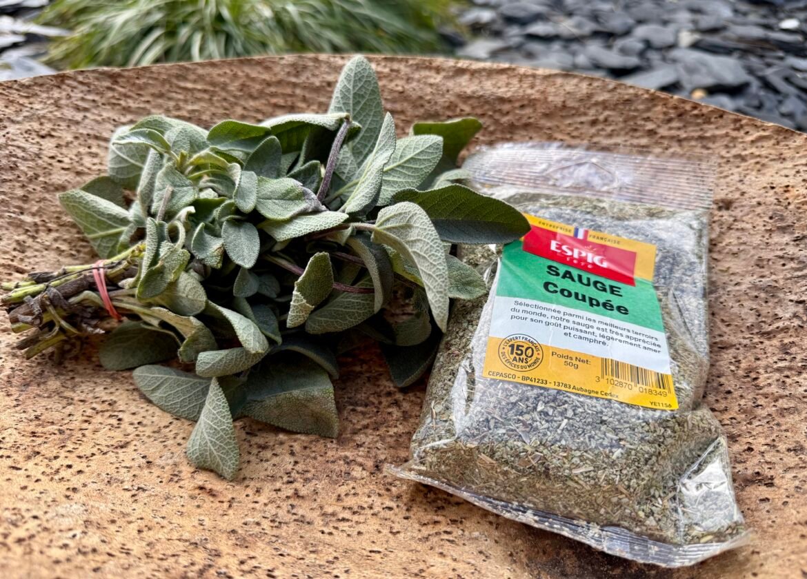 sauge