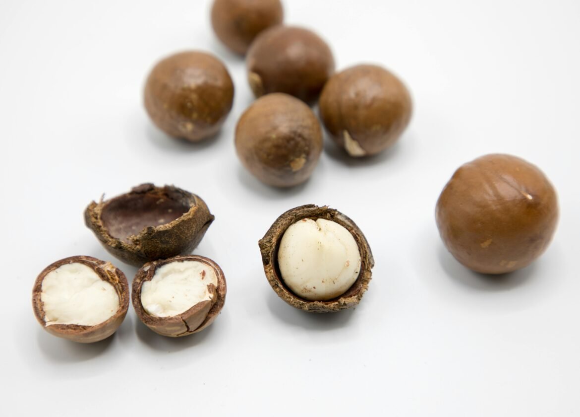 Detailed view of raw macadamia nuts showing whole and open shells on a white background.