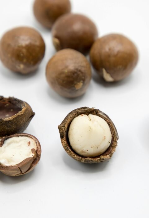 Detailed view of raw macadamia nuts showing whole and open shells on a white background.