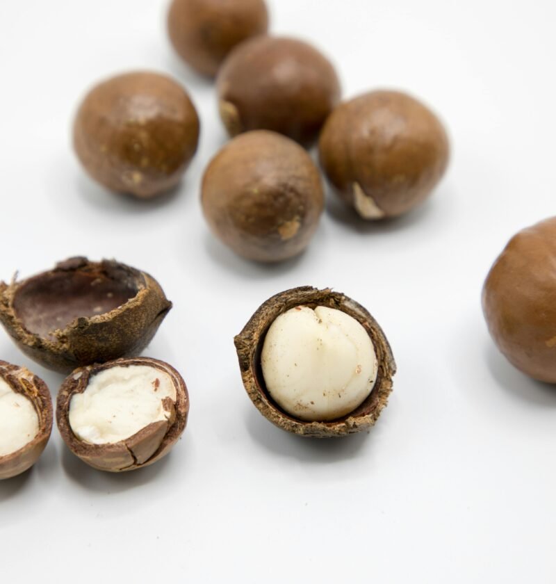 Detailed view of raw macadamia nuts showing whole and open shells on a white background.