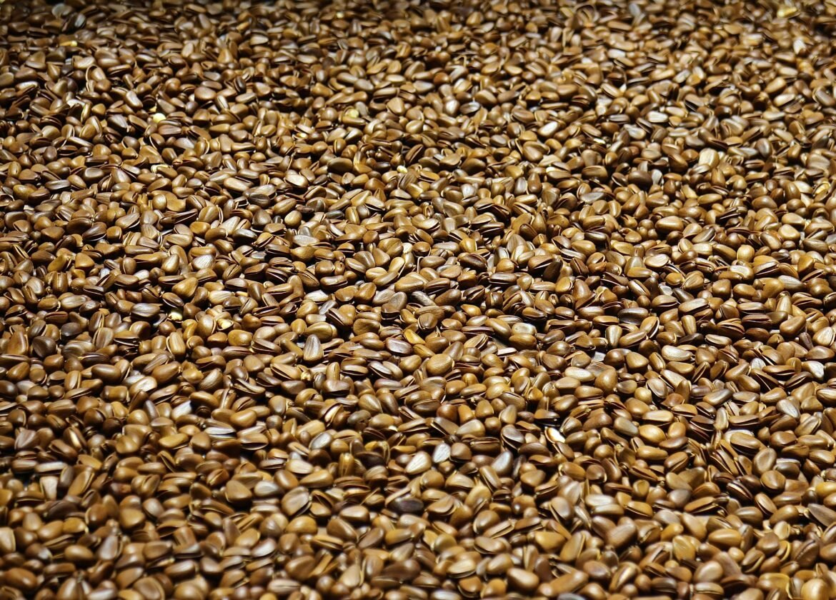 Close-up of scattered brown flax seeds creating a natural pattern.