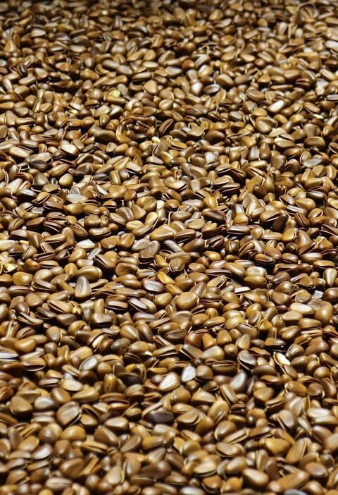 Close-up of scattered brown flax seeds creating a natural pattern.