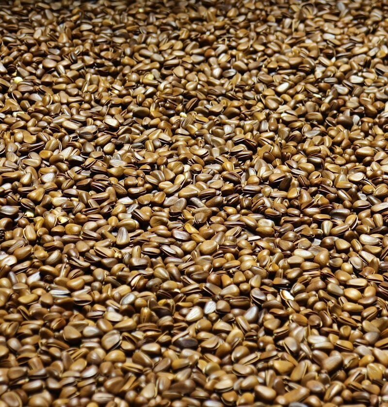 Close-up of scattered brown flax seeds creating a natural pattern.